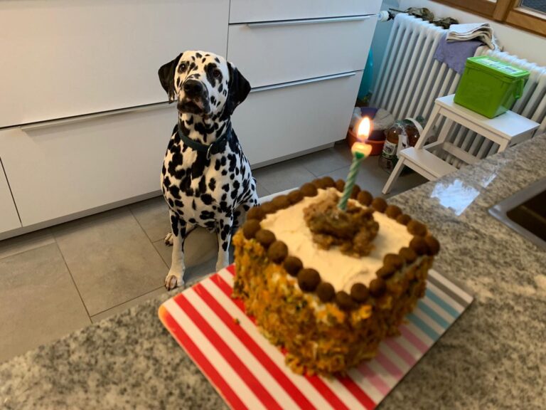 Cooper`s Birthday