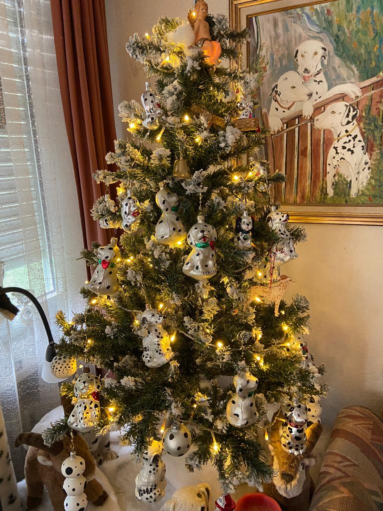 Was für ein passender Christbaum. Camelle und Papa Vanoc-Frauely wünscht schöne Weihnachten Aallen lieben ` Kindern`