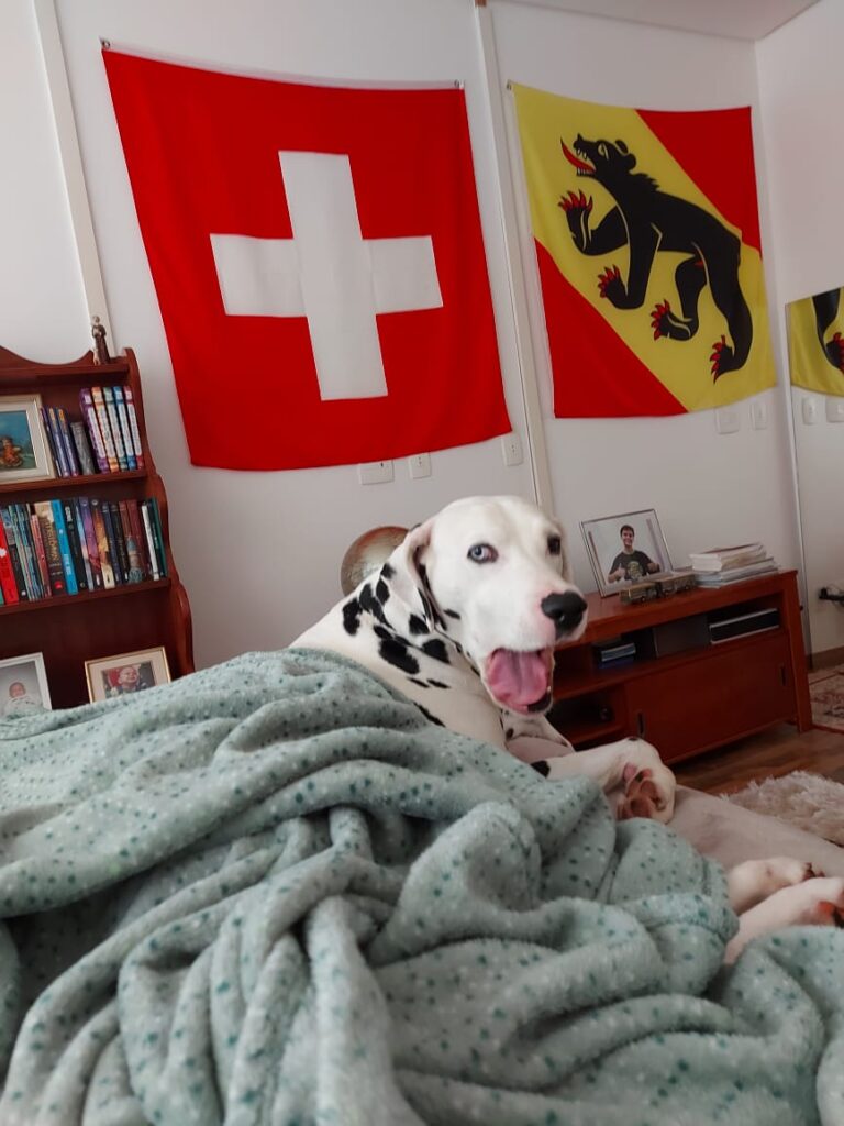 They love Switzerland and Bern, smile