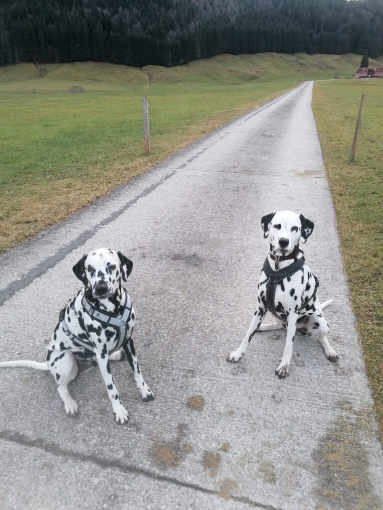 Lewi mit Bruder Louis (D-chen) in Einsiedeln