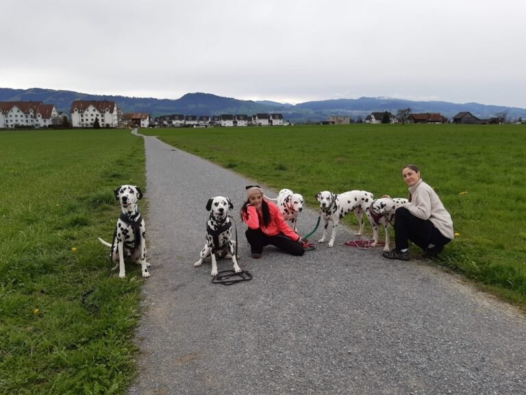 Treffen mit Sky und Malou im Züry Oberland