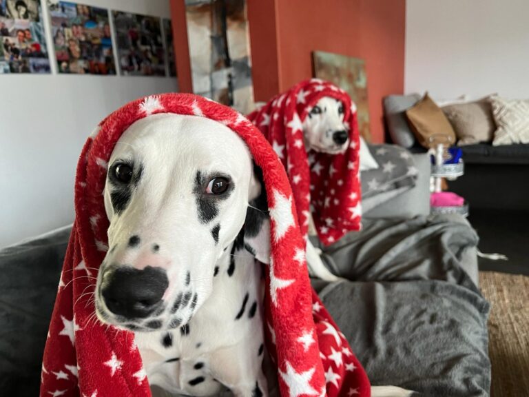 Mit Mamma Märchen spielen