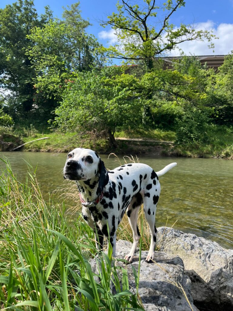 Lucy, die hübsche Maus