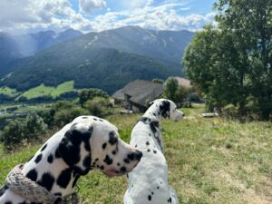 In ihren ersten gemeinsamen Ferien