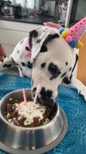 Happy Birthday, liebe Kyra