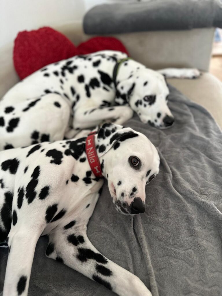 Lou, der liebe Freund mit seiner Halbschwester Nina
