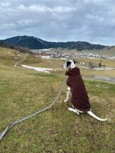 Mio hoch Einsiedeln
