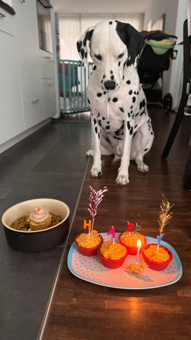 Happy Birthday lieber Hugolitolino