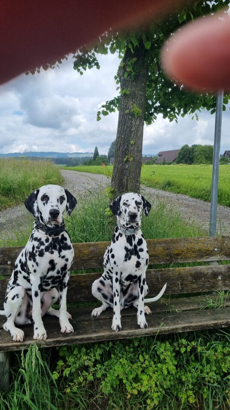mit deinem Familienfreund