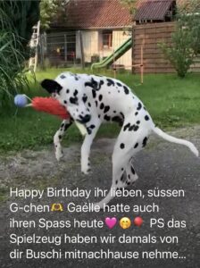 Happy Birthday, lieber Gall