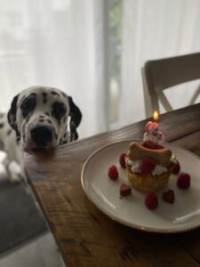 Happy Birthday, lieber Mio